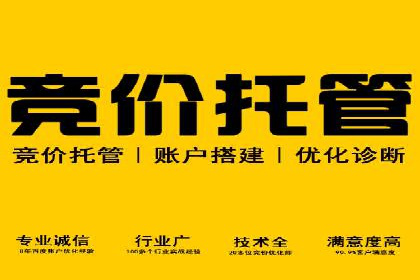 创新广告策略：专业SEM托管的典型案例研究